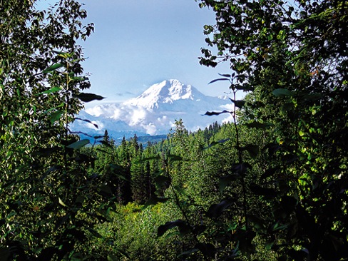 Denali from Petersville Road-Trapper Creek Inn