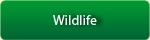 sidebar_ButtonRwildlife