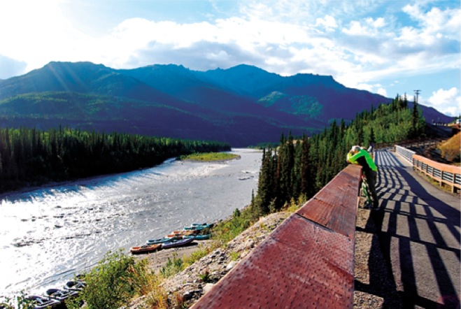 Denali Nenana Canyon Walkway