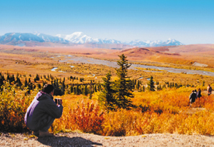 Denali Park Road mile 9