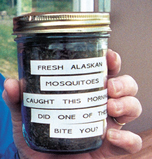 These Alaskan mosquitoeswere caught by a mosquito magnet